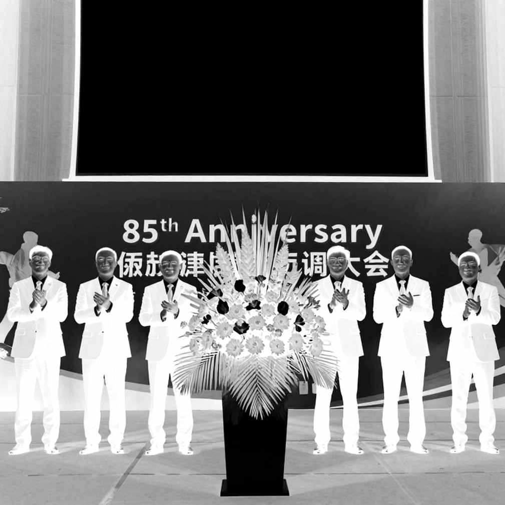 Chuncheon 2026: Tấm HCV poomsae và khung tuổi mà không ai chịu đọc cho đúng Chuncheon 2026: Tấm HCV poomsae và khung tuổi mà không ai chịu đọc cho đúng